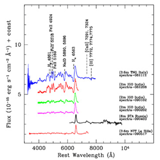 SN2008gz spectra