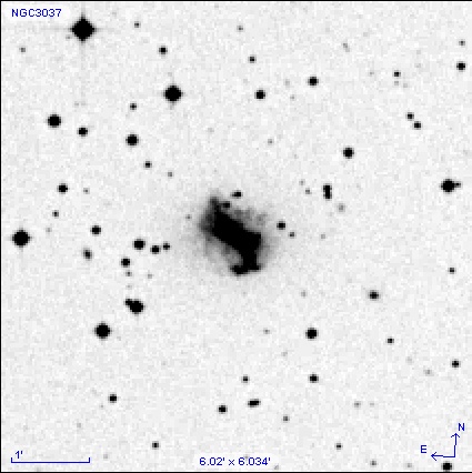 NGC3037