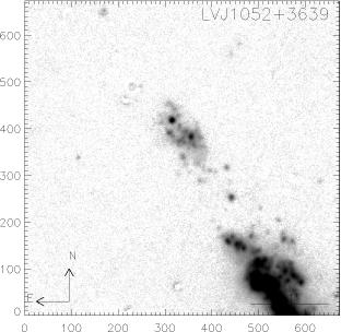 LV J1052+3639.Ha 6563