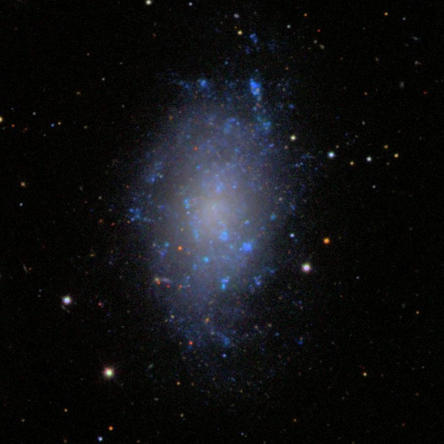 NGC5204