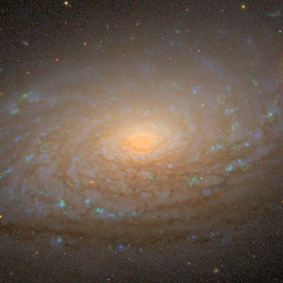 NGC5055